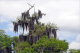 20120325_3466.jpg