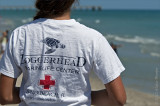 loggerhead shirt