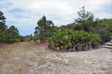 Hobe Nature & Wildlife Reserve