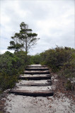 20120417_5653.jpg