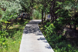 20120628_4217.jpg