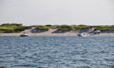 AET_9217.jpg