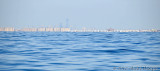 AET_9443.jpg