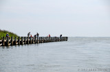 20120822_6751.jpg