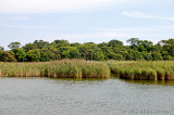 20120822_6786.jpg
