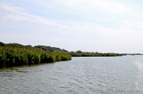 20120822_6790.jpg