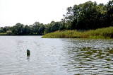 20120822_6871.jpg