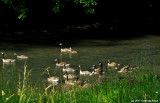 P7000-062011-015.jpg