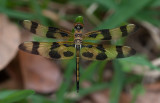 Halloween Pennant1.jpg