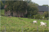 hoeve de Bek