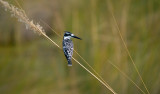 Botswana