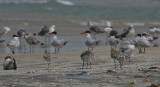 Beach - Strand