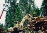 Madill 071 at Winston Creek