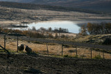 Dovrefjell