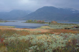 Hardangervidda