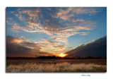 _DSC0332