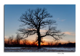 _DSC0707