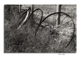 _DSC1638