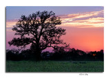 Sunset, Pickerington Ponds