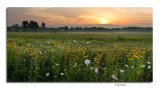 Sunrise, Prairie Oaks Metro Park