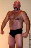 hot daddy bear speedos.jpg