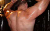muscle man daddy bear.jpg