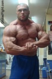 muscleman hulkster huge flexing.jpeg