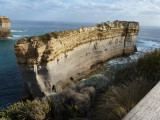 P1000671 (Medium).JPG