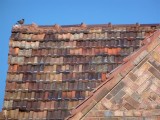 Great tiles