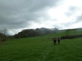 Very green (and hazy!)