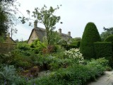The Maple Garden