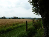 View from the Wilderness