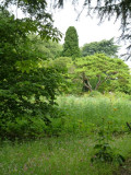 The Lower Stream garden