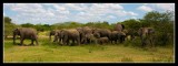 Large Family Group