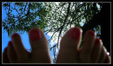 Footloose Self Portrait - By Jill
