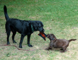 Finally we have play July 18 2012 day 12.jpg