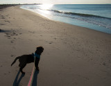 Waves introduction 2 South coast beach August 19 2012 day 43.jpg