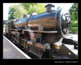Arley Station #19