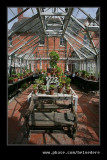 Sunnycroft Victorian Villa #31