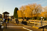 2012-01-22 London 516.JPG