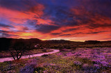 Sycamore Canyon Rd Clarkdale Az-2.jpg