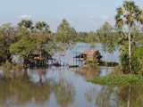 FLOODED LAND ON THE MEKONG