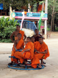 NOVICE MONKS AT PLAY