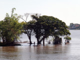 FLOODED BANKS OF THE MEKONG RIVER