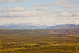 Moose Creek to Dawson City