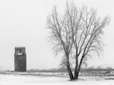 20110329_Drumheller_0024.jpg