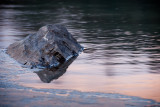 20110419_Exshaw_0025.jpg