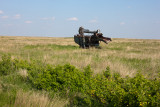 20110610_Lone Butte_0067.jpg