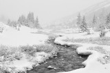 20110616_Kananaskis_0056.jpg