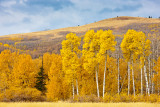 20111020_Kananaskis_0072.jpg